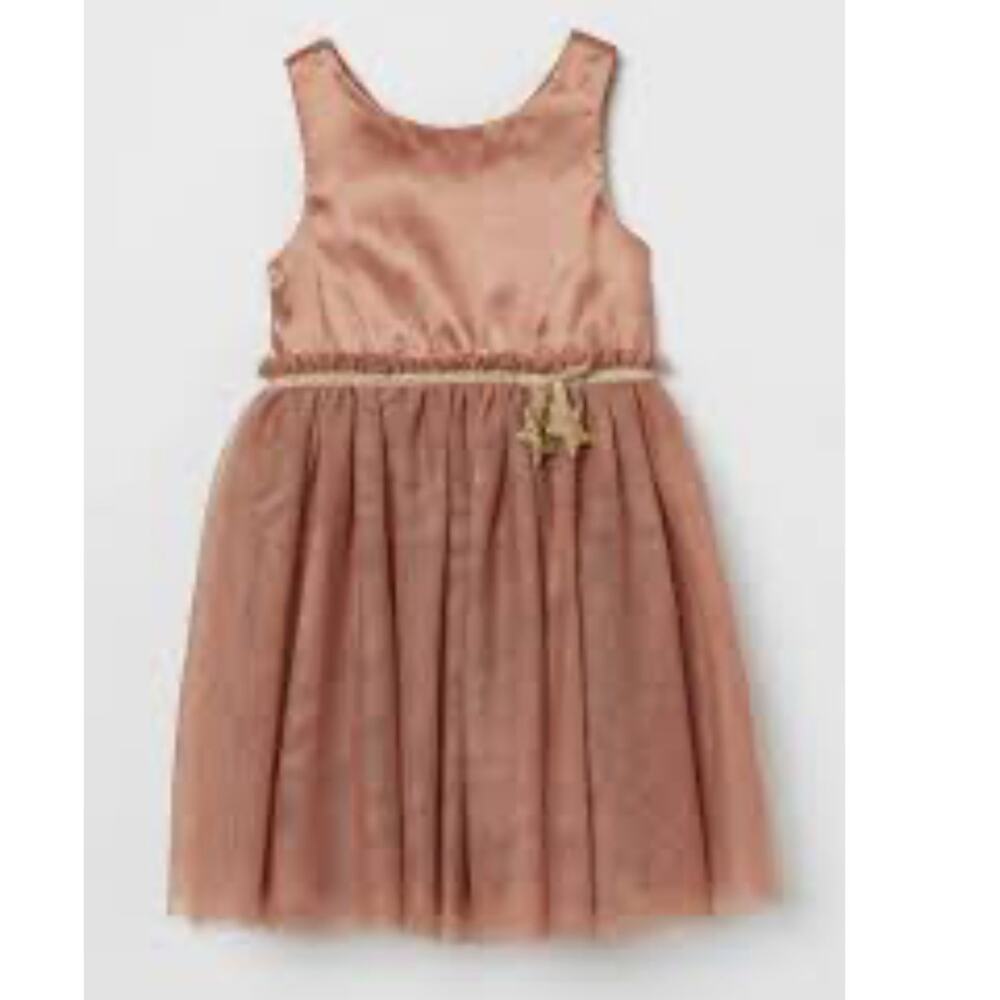 H&M tulle skirt dress